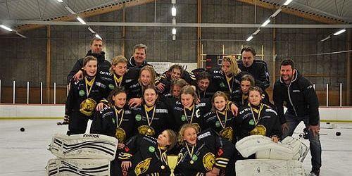 Vänersborgs HC team 03 är DM-mästare i ishockey.