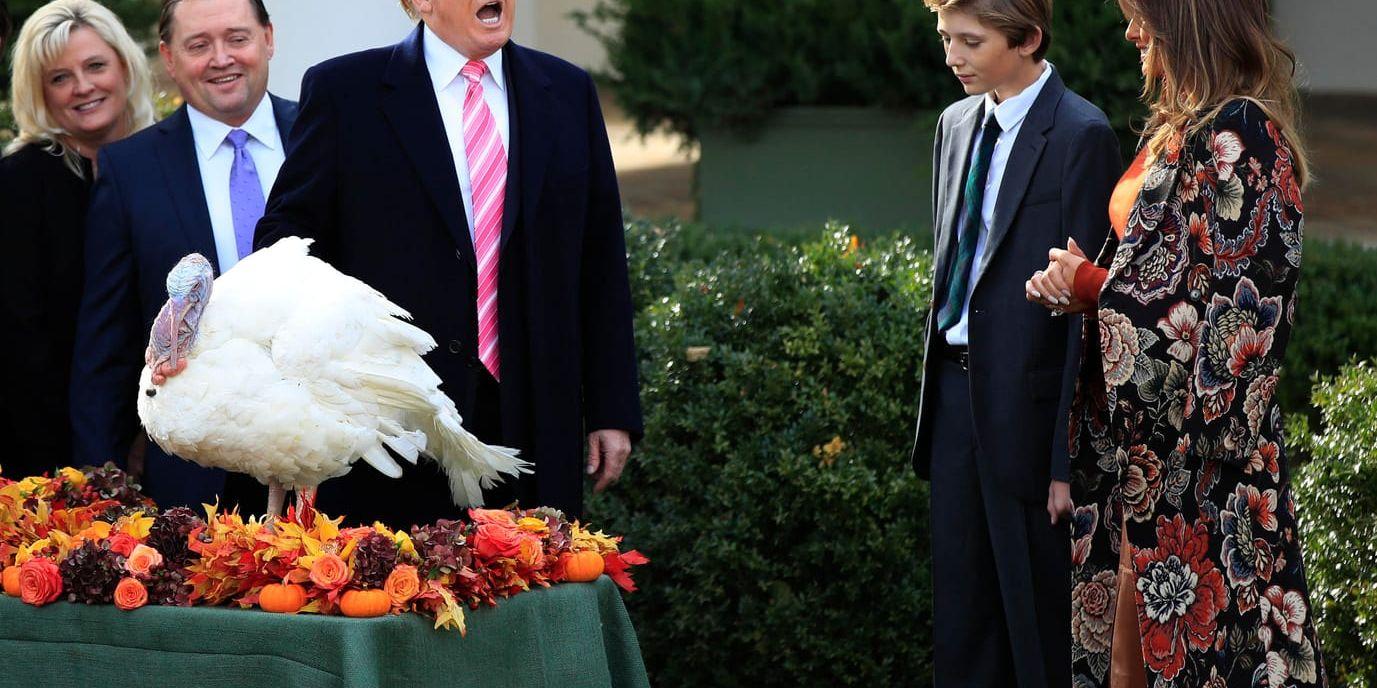 President Donald Trump, tillsammans med bland andra frun Melania Trump och deras son Barron, benådar kalkonen Drumstick dagen före thanksgivning.