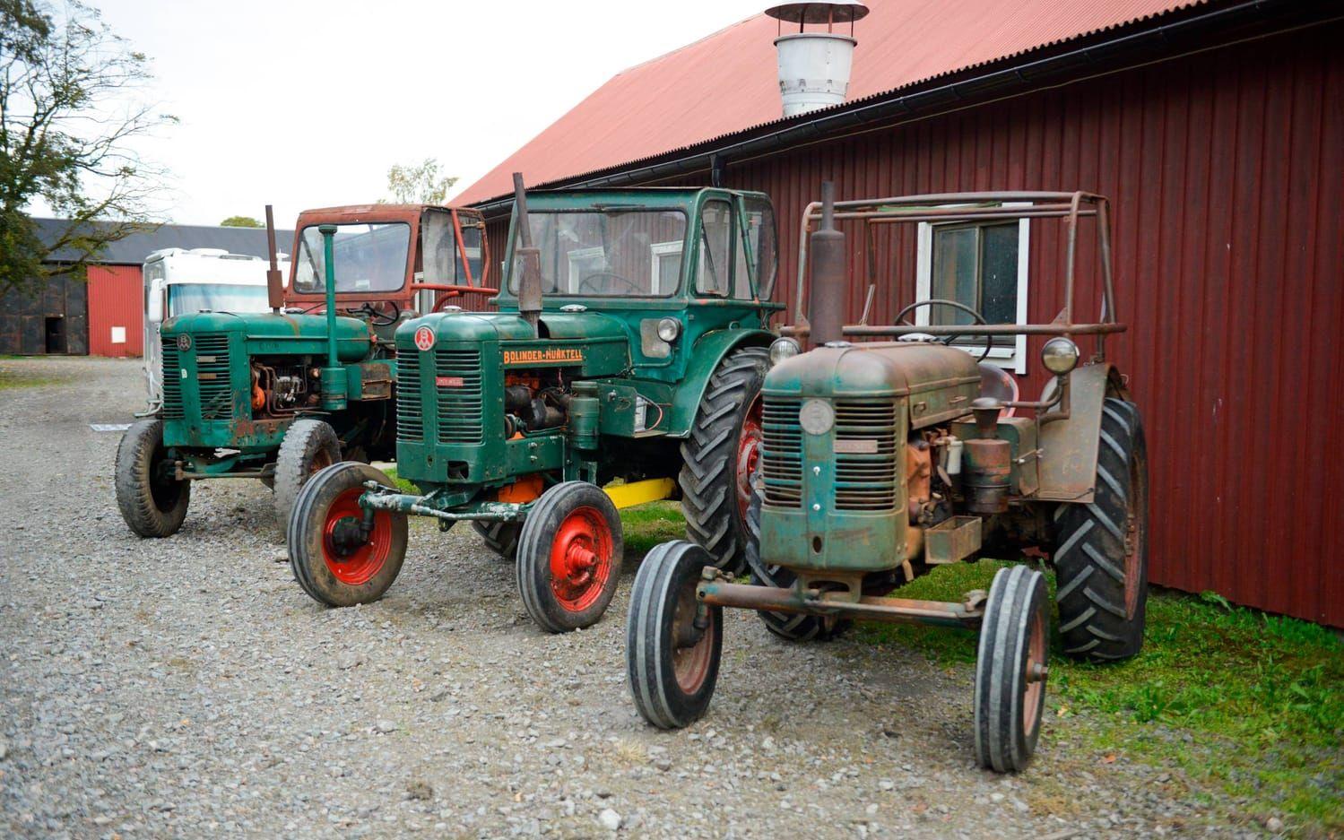Fina gamla traktorer. Bild: Kristina Stulken