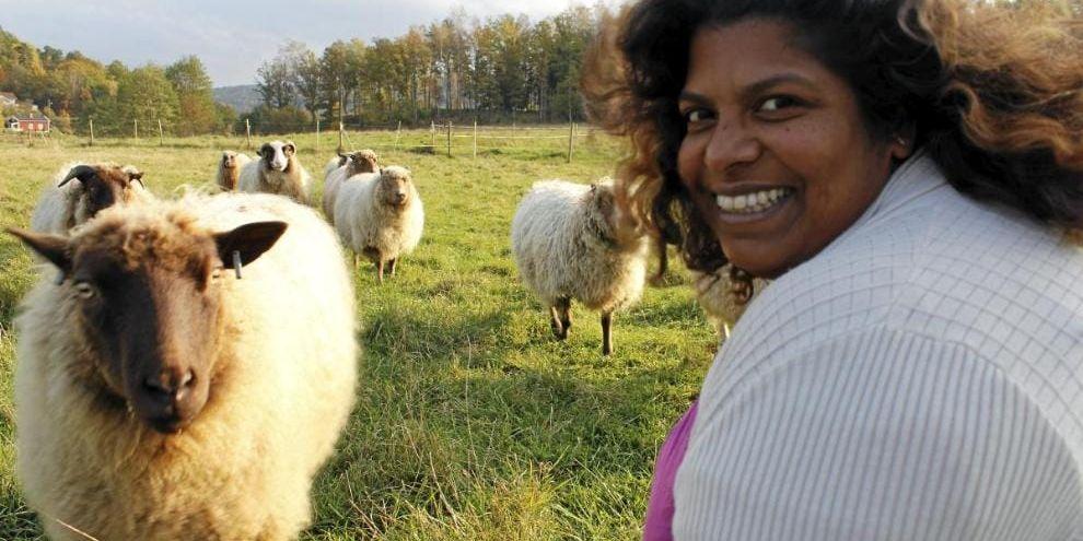 Usha Deminger använder ull från de egna fåren och från grannarna på Ström för att sy sina änglar av ull. Bild: Pasi Hakopuro