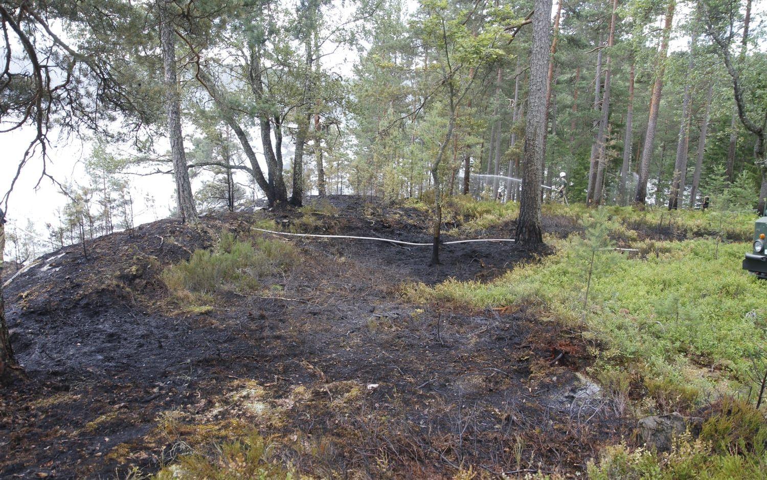 Under torsdagen bröt en skogsbrand ut utanför Håverud norr om Mellerud. Samtliga bilder: Daniel Gustafsson