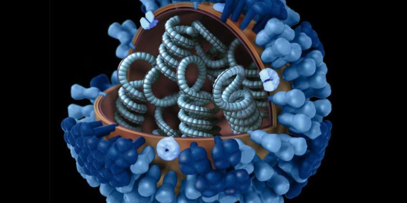 Influensa orsakas av ett virus, varför antibiotika inte hjälper. Viruset förändrar sig lätt och finns i olika varianter beroende på hur de olika proteinerna på ytan (blå färg) ser ut. Målet är att vaccinet ska skydda mot just de varianter som cirkulerar för tillfället.