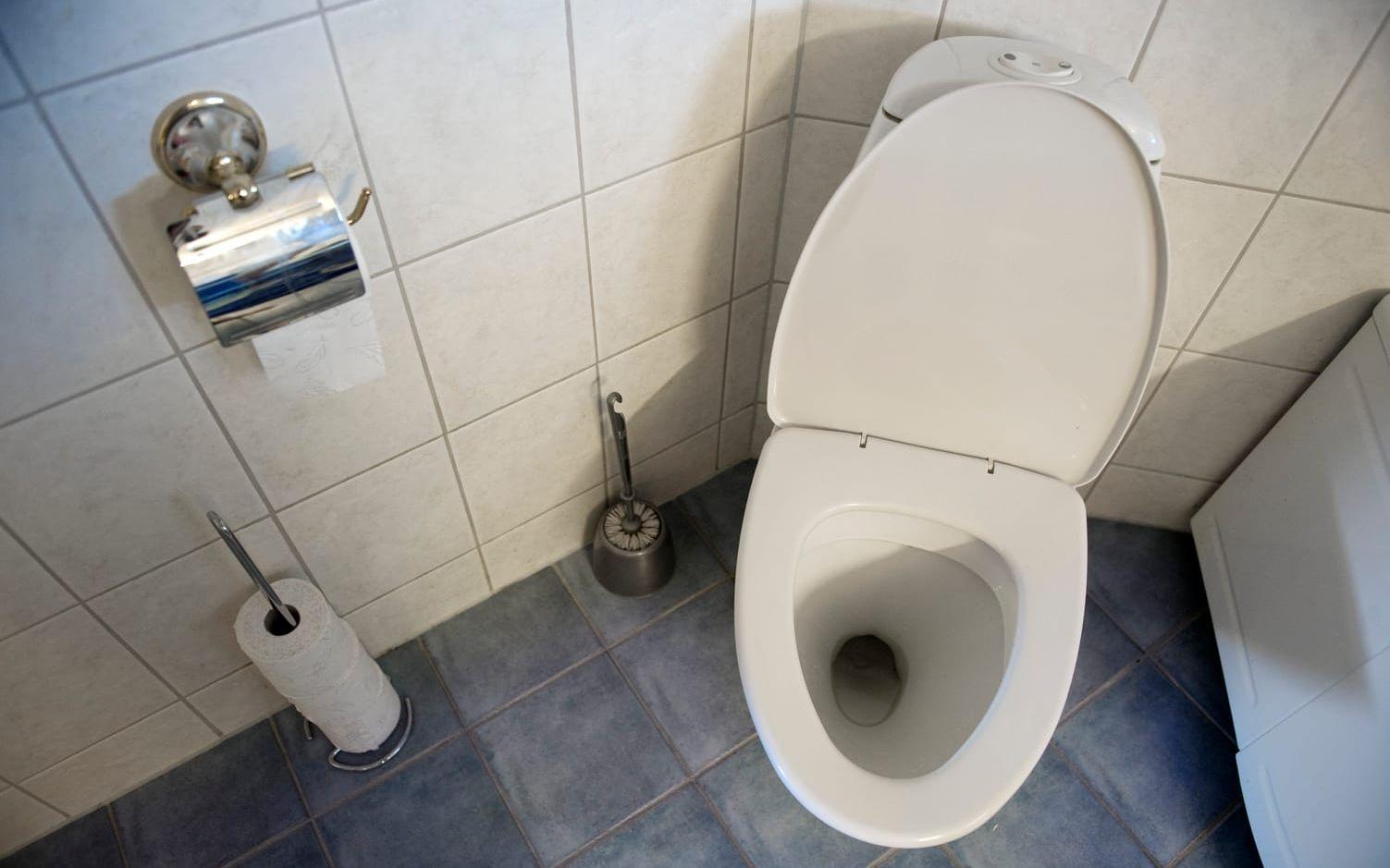 Myt 1: ”Man kan bli sjuk av att ta i spolknappen på offentliga toaletter”. Agnes svar: ”Nej. Det här vittnar om en otrolig okunskap. Tyvärr lär man sig inget om människokroppen i skolan.” Bild: Jessica Gow