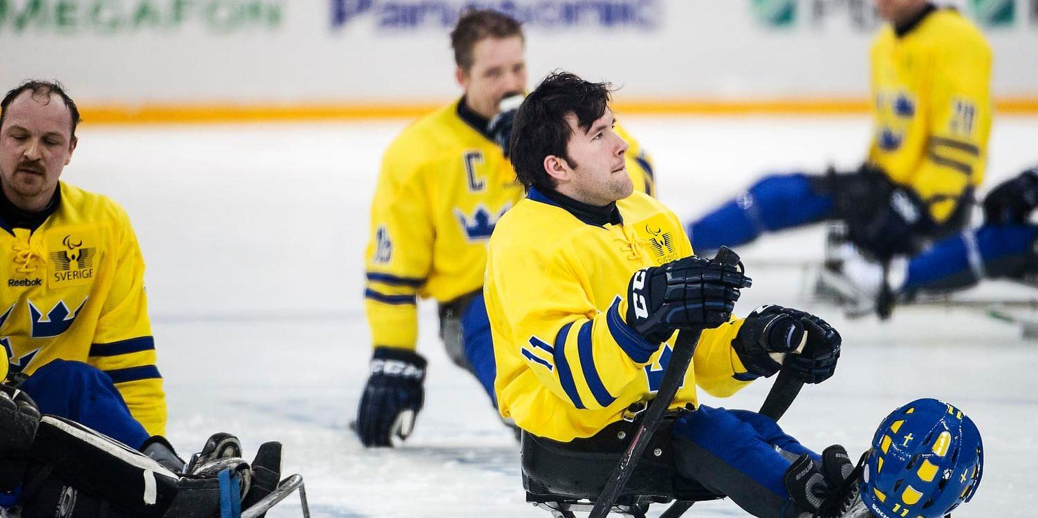 Det svenska kälkhockeylandslaget under Paralympics i Sotji 2014. Arkivbild.