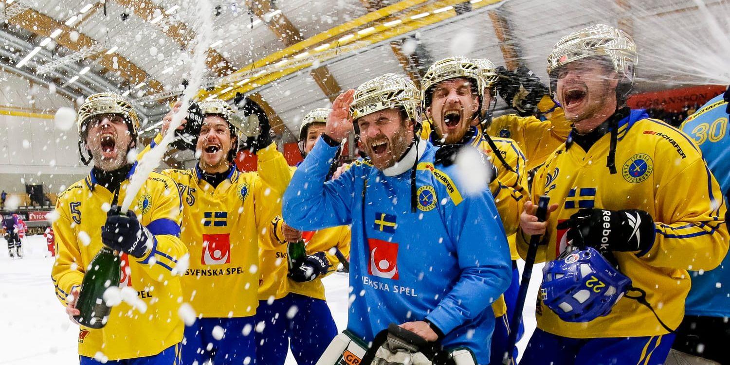 Segerrusiga svenskar efter finalsegern mot Ryssland i Göransson Arena.