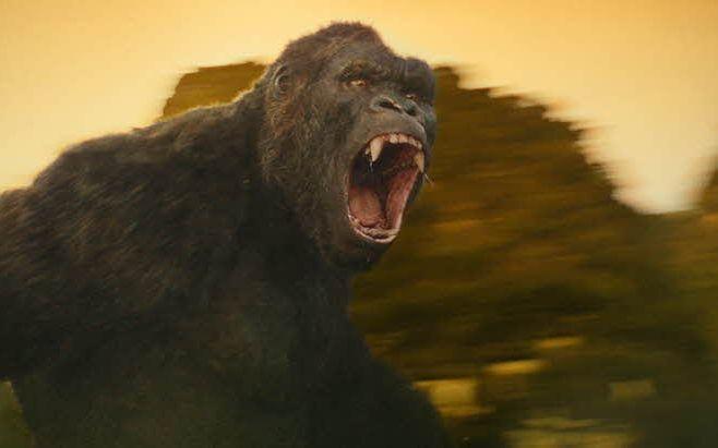 2014 släpptes "Godzilla" och just nu går "Kong: Skull Island" på bio. Om några år kommer de mötas i en enorm strid, och bolaget Legendary arbetar på ett gäng fler filmer under namnet "Monsterverse".
