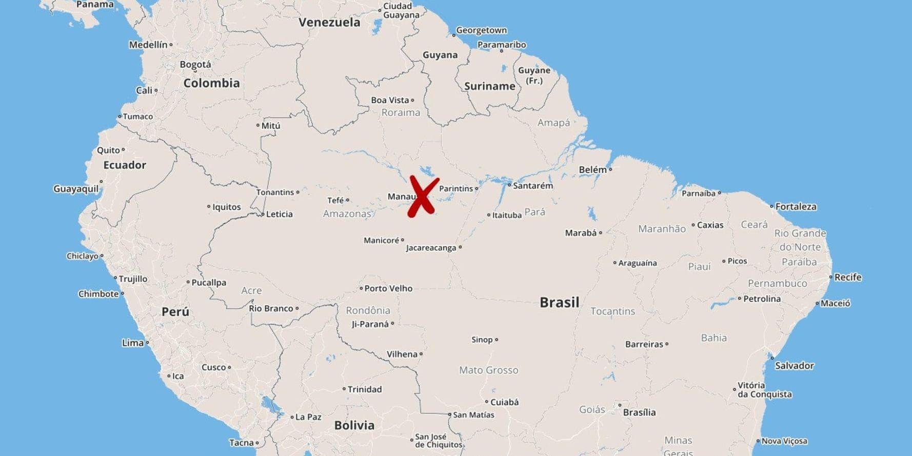 En svensk kvinna har omkommit i en flygkrasch nära staden Manaus i Brasilien.