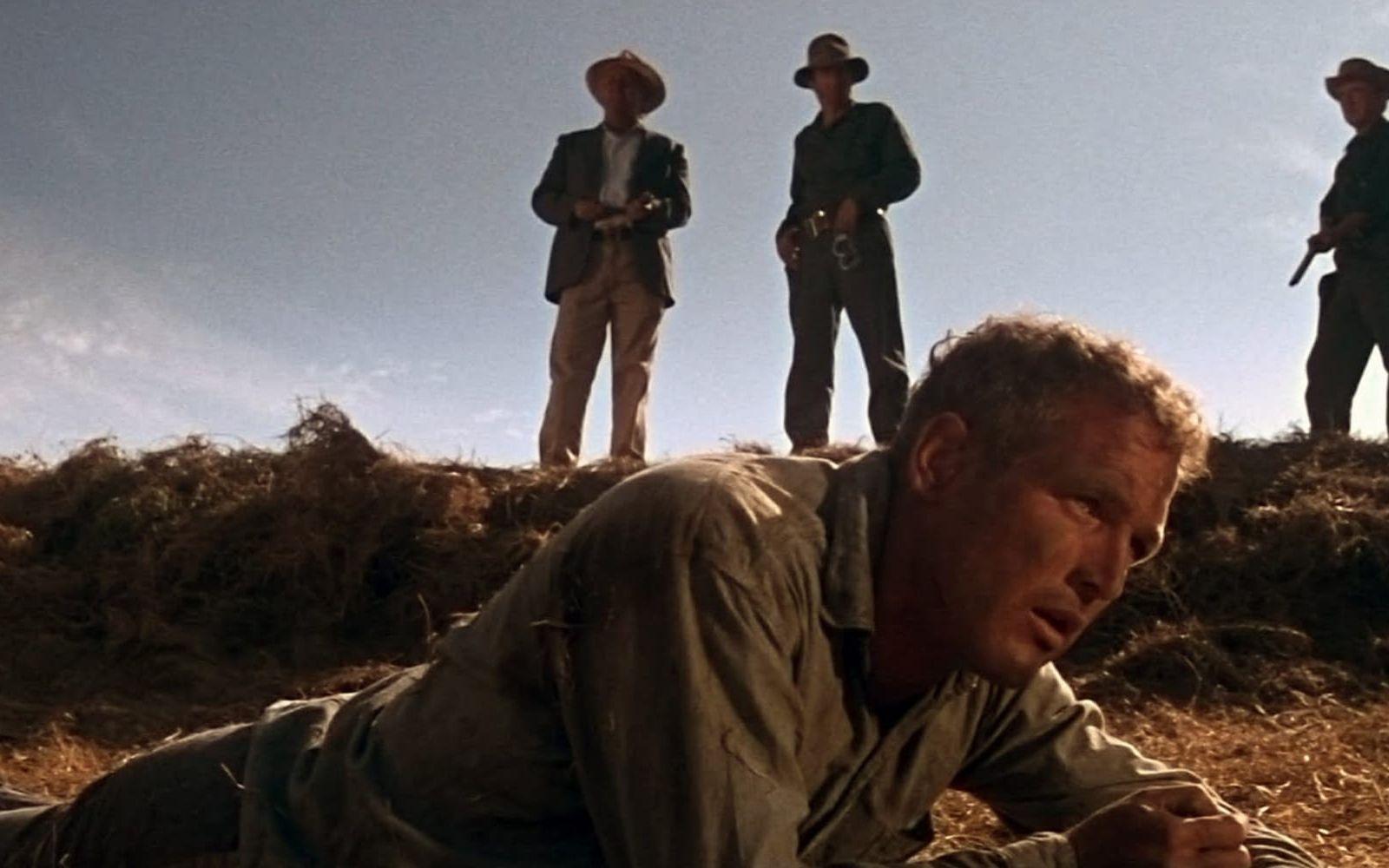 "Calling it your job don't make it right, boss." — Paul Newman som Luke i Cool Hand Luke, 1967