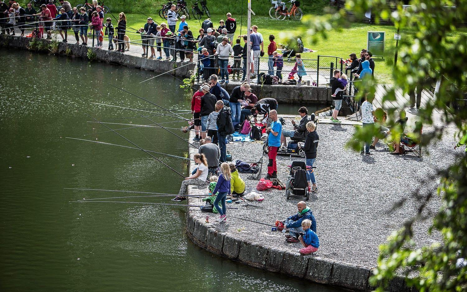 Visst nappar det. På söndag blir det fisketävling för barn i Gamle Dal'n. Bild: Andreas Olsson