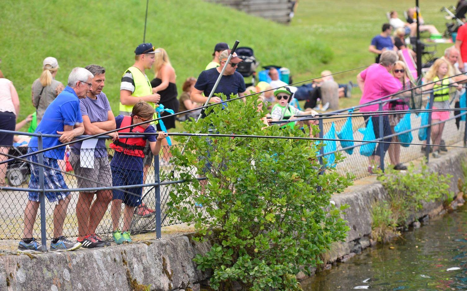 150 platser finns på fisketävlingen. Alla barn som deltar får ett fiskespö och har chans att vinna ytterligare fiskeutrustning. Bild: Christian Flodin