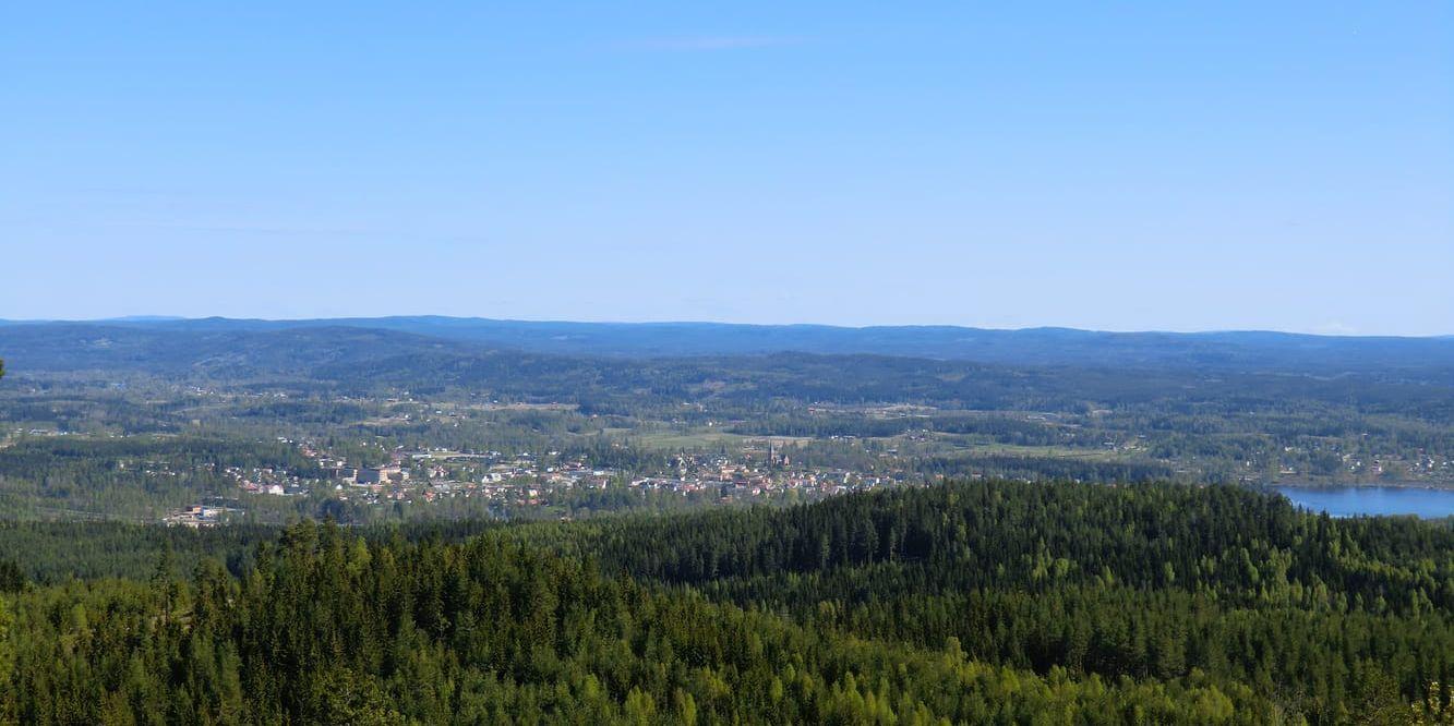
     Torsby i norra Värmland skymtas bakom granskogen. Foto: Gräsmark/WikiCommons. 
   