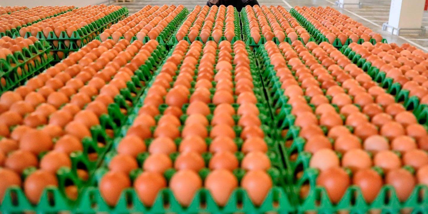 Miljontals ägg har dragits tillbaka efter larmet om att de innehåller rester av ett giftigt bekämpningsmedel. Arkivbild.