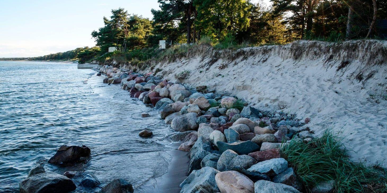 Vid Strandvägen i Äspet i Åhus når havet nu ända upp till skogsbrynet. Stranderosion runt Skånes kust är ett växande problem.
