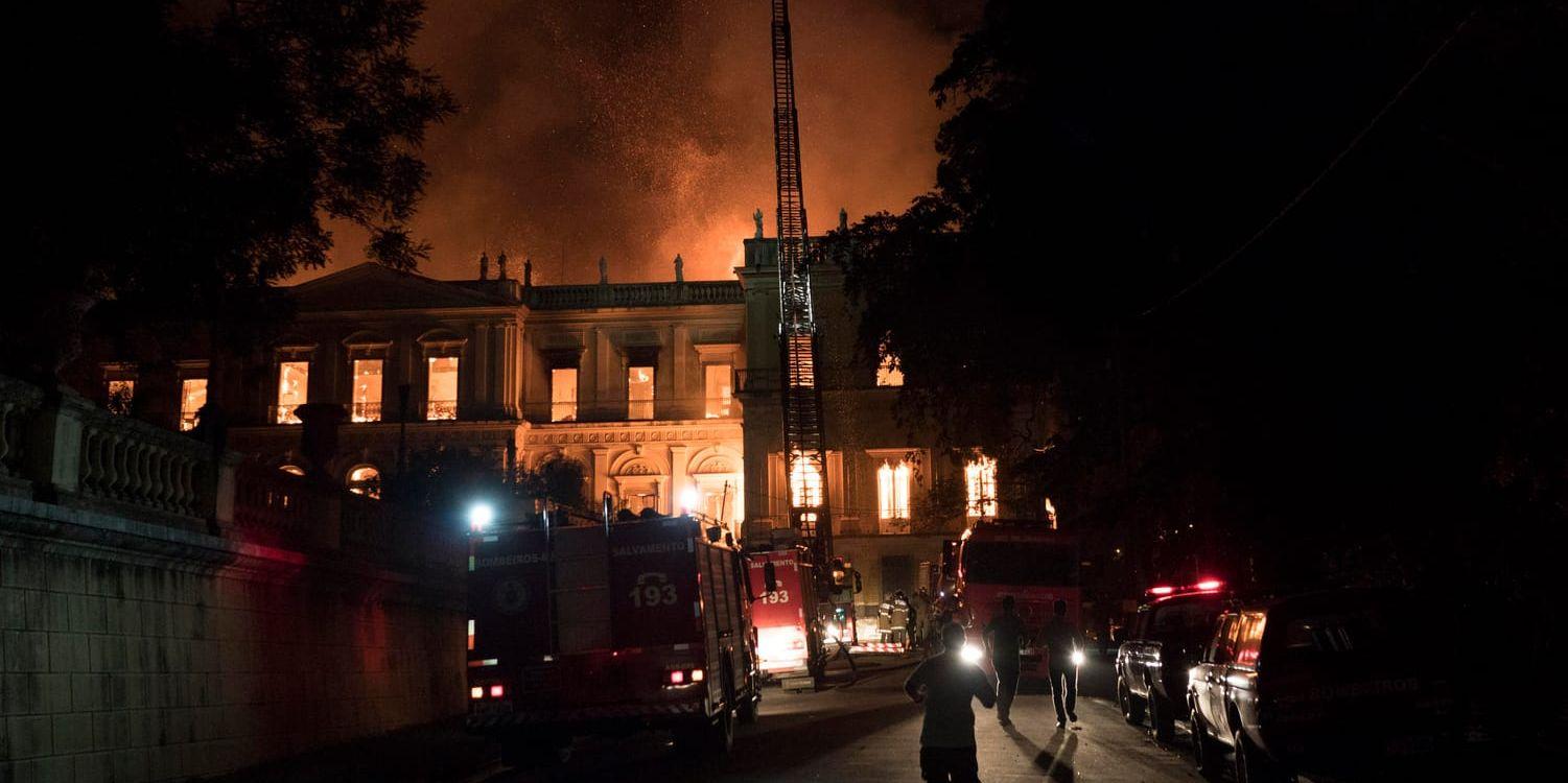 Brasiliens nationalmuseum i Rio de Janeiro, Museu Nacional, förstördes i en brand i september i fjol. Arkivbild.