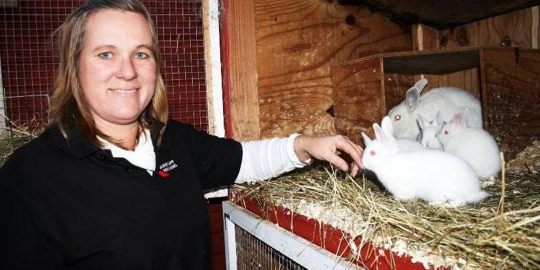 SPECIELL. Nu har Mellerudsskaninen blivit godkänd som en egen lantras.
Birgitta Nolstrand är kaninuppfödare i Upphärad.