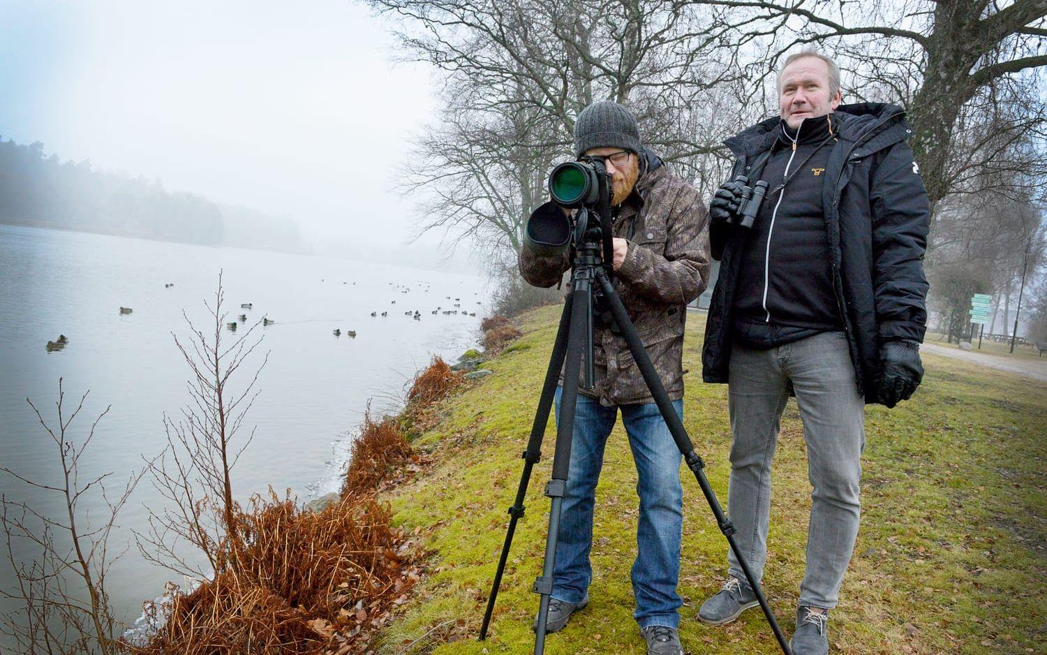 Thorulf Lundqvist (t.v.) kommer att samarbeta med Ulf Lindell, tf ordförande i Västergötlands ornitologiska föreningen. Bilder: Anna-Maria Holmgren