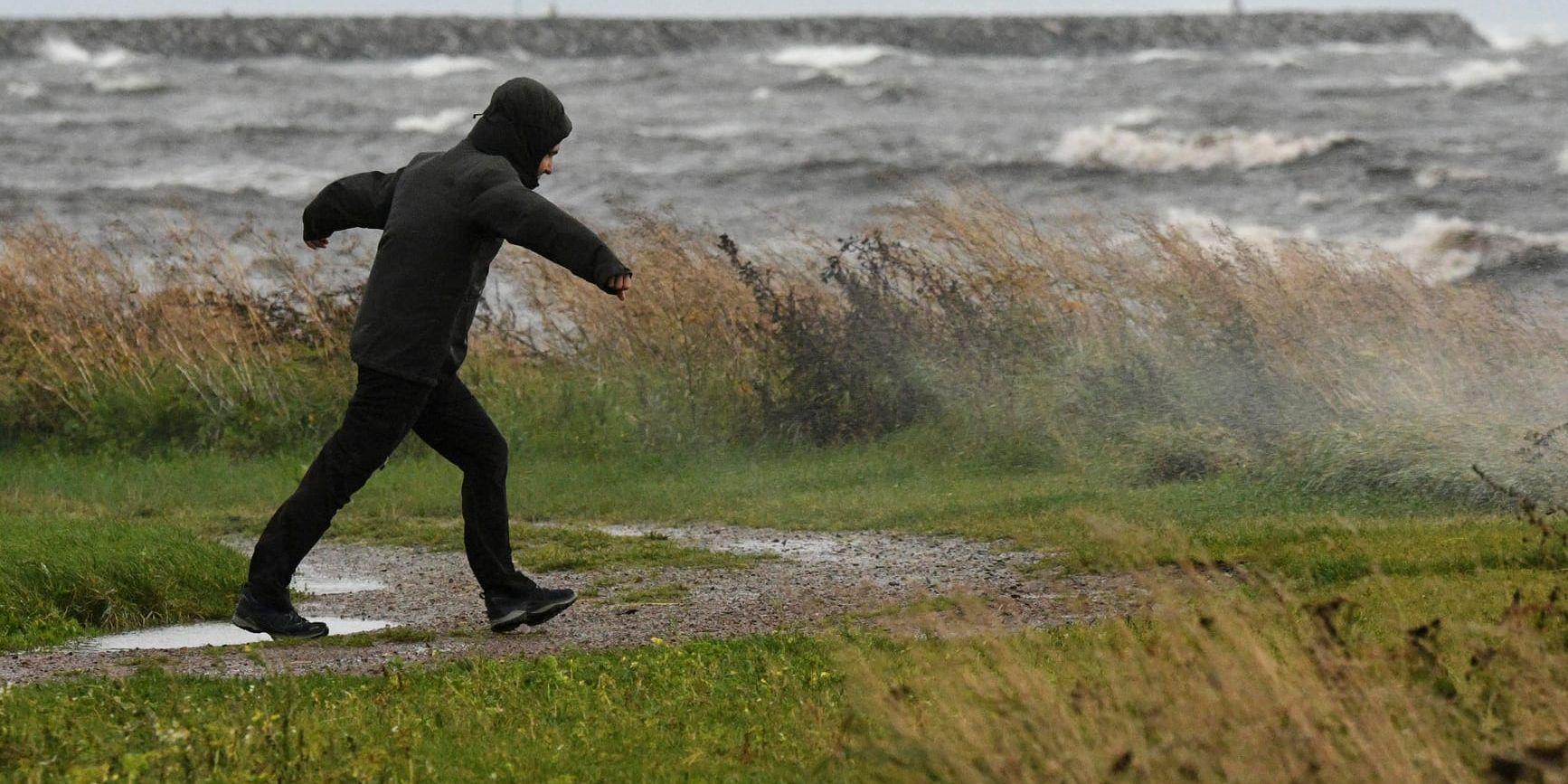 Stormspanare i vid hamnen i Trelleborg när busvädret med regn och hårda vindar drog in över södra Sverige på onsdagskvällen.