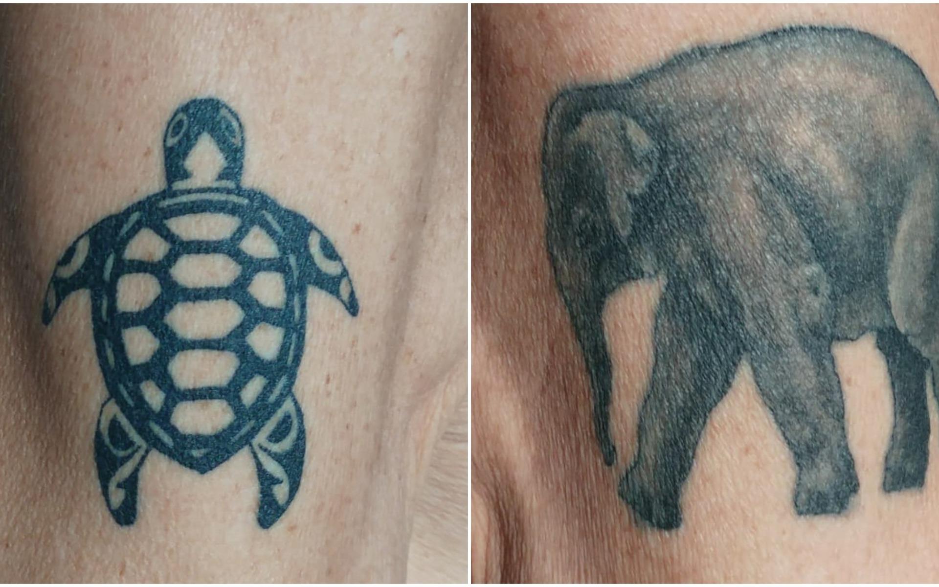 Per Lindahl har hämtat inspiration till sina tatueringar från utrotningshotade djur. ”Inspiration till elefanten fick jag vid besök i Indien och sköldpaddan såg jag på ett rehabiliteringscenter för sköldpaddor på Cuba”, skriver han.