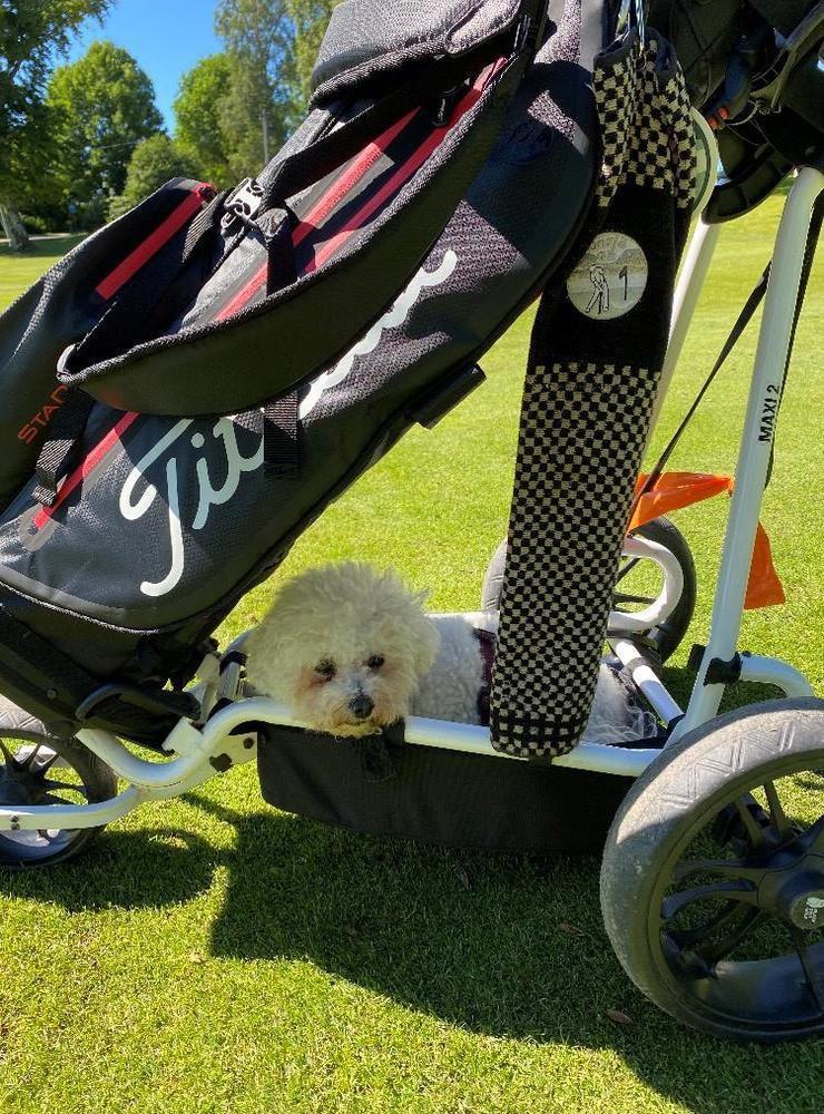”Busan ”spelar” golf på Onsjö golfklubb” skriver Jeanette Raske.