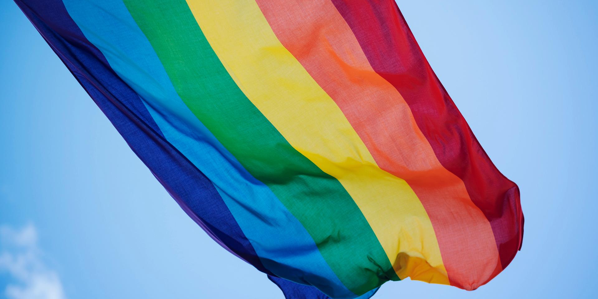 En regnbågsflagga 