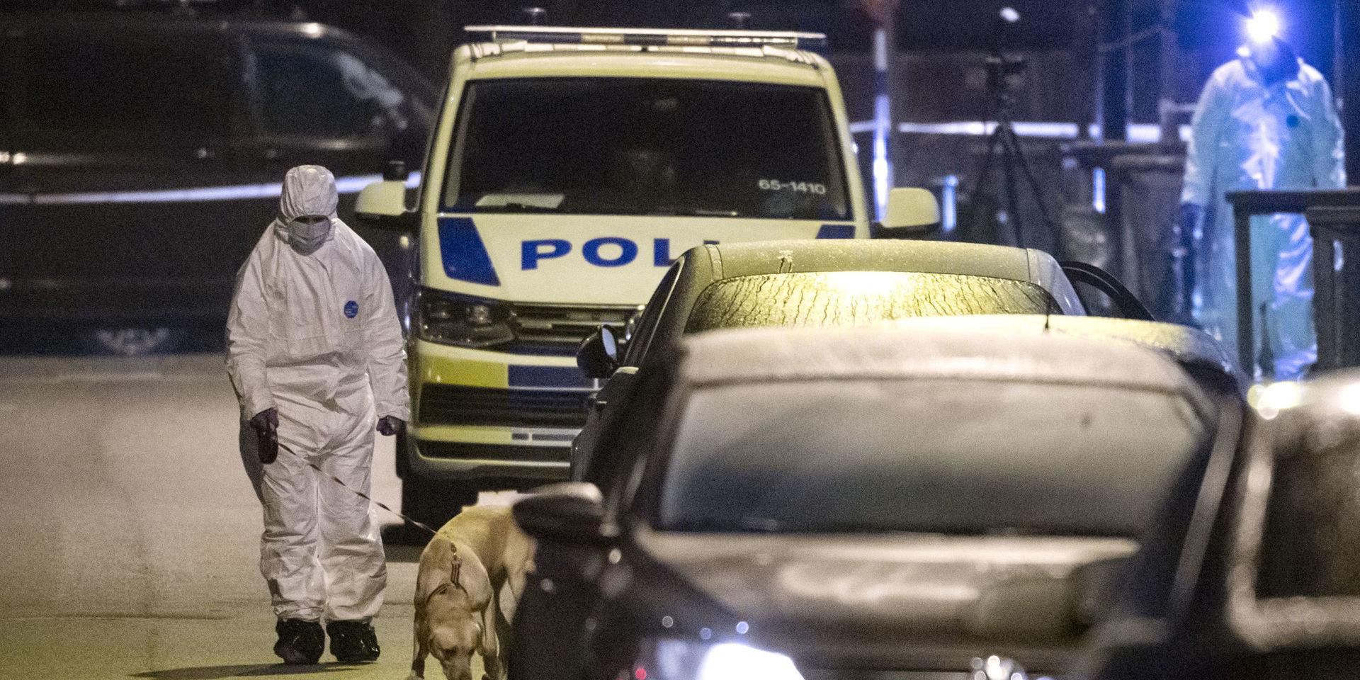 En 27-årig man som misstänks för ett mord på en kvinna i Hyllie i Malmö har gripits i Danmark. Bilden är tagen i samband med att kvinnan hittades.