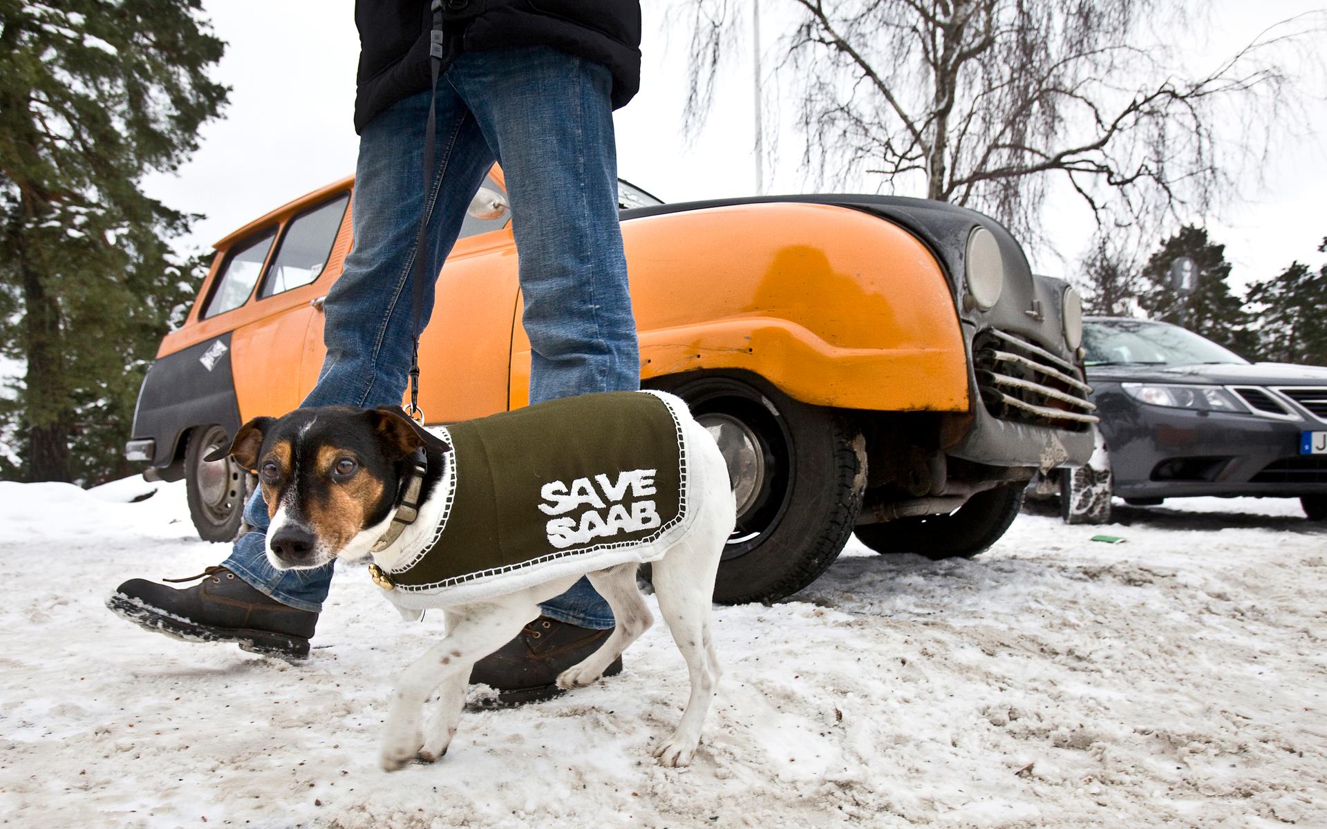 Saab-konvojen. Hunden Fido kom med husse och matte, Katarina Hagel och Emil Wallmark, från Stockholm för att stötta Saab. Därhemma har de nio Saab-bilar att välja bland.