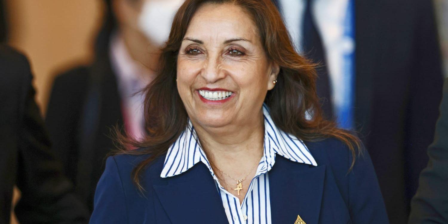 Perus vicepresident Dina Boluarte, som svurits in till landets nya president. Arkivbild.
