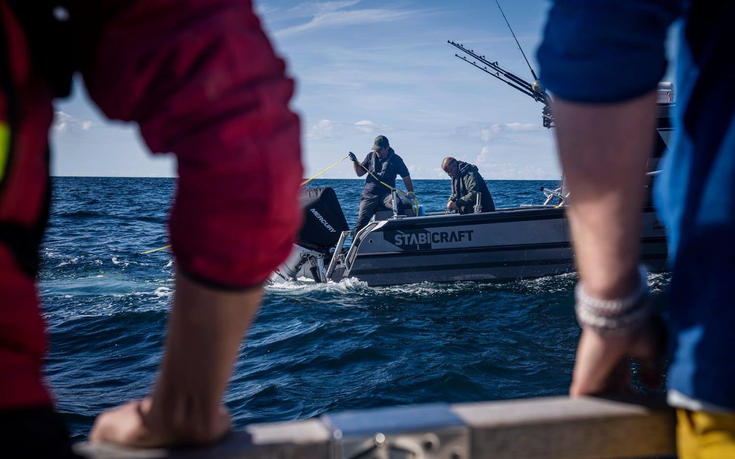 En av de danska båtarna har fått napp, men när tonfisken ska dras upp så lossnar den. Besvikelsen är påtaglig men kortvarig – ett par timmar senare får de napp igen.
