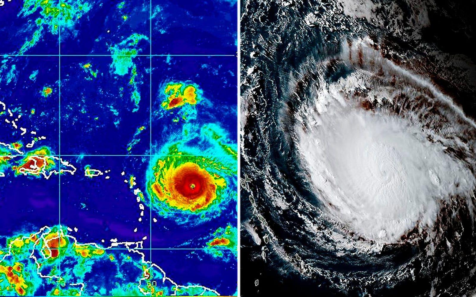 Orkanen Irma är nu en så kallad katergori 4-storm. FOTO: NOAA via AP