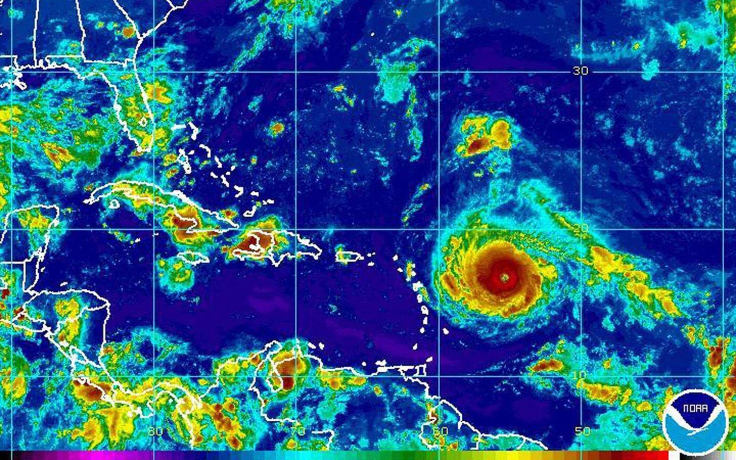 Orkanen Irmas läge den 4 september. FOTO: NOAA via AP