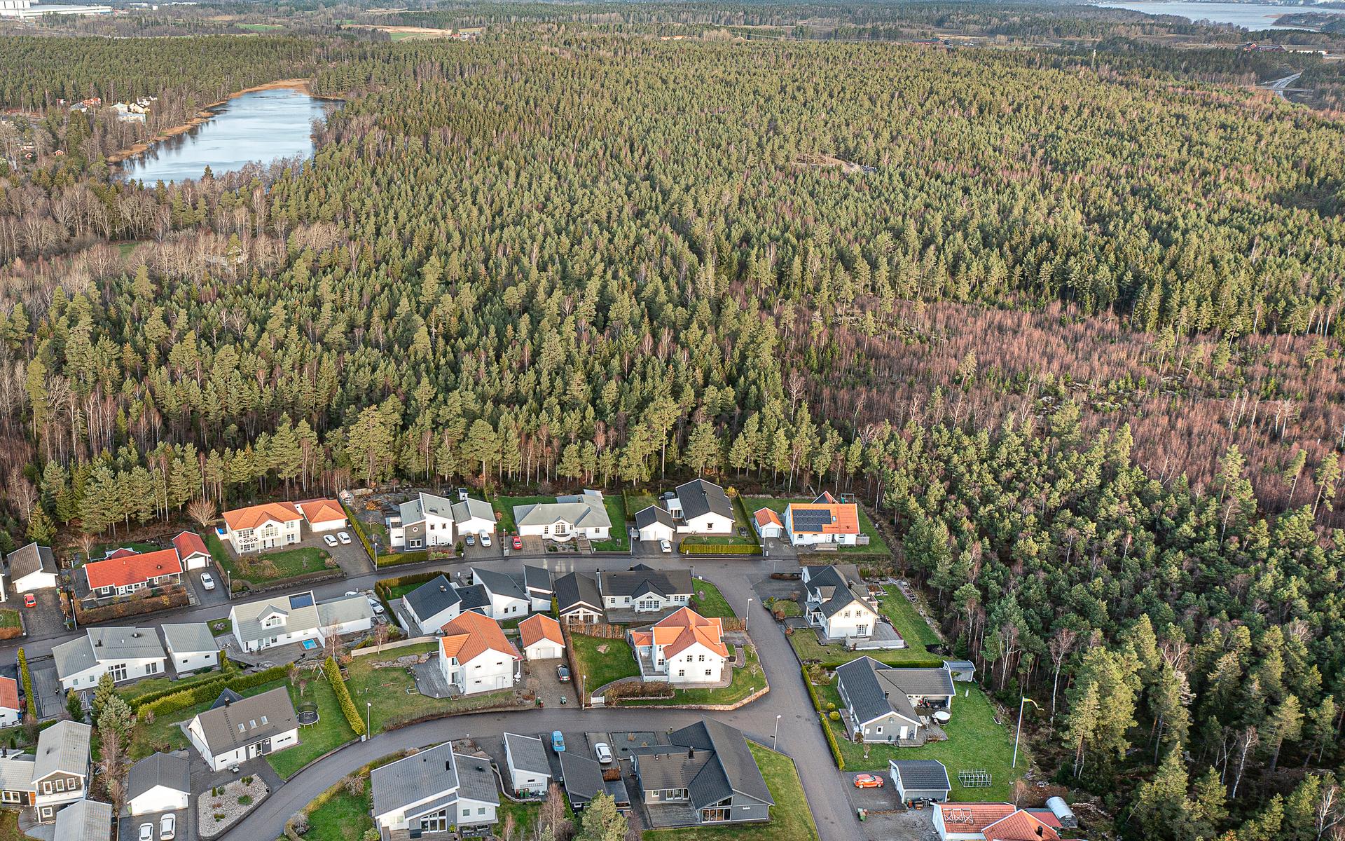 19 november. Skog idag, bostäder imorgon. Upp till 500 nya bostäder planeras mellan Hultsjön och Hults höjd.