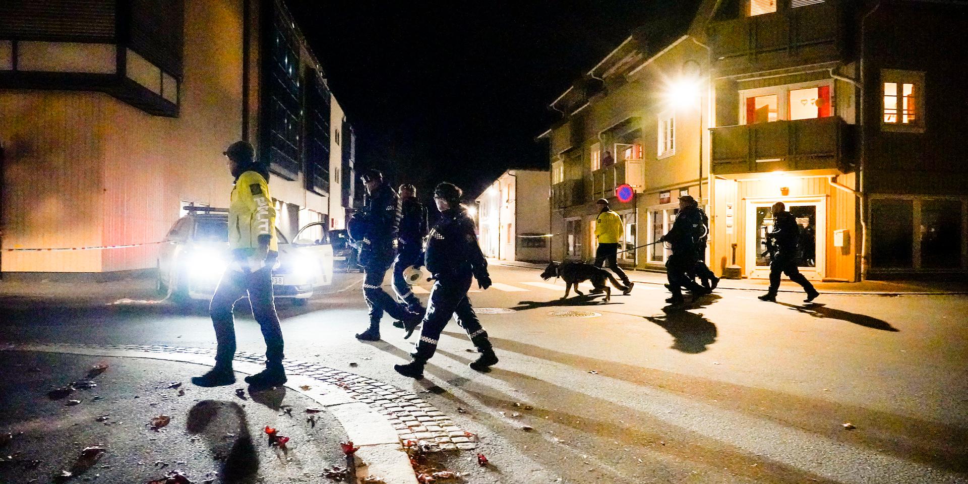En man har angripit flera personer i norska Kongsberg.