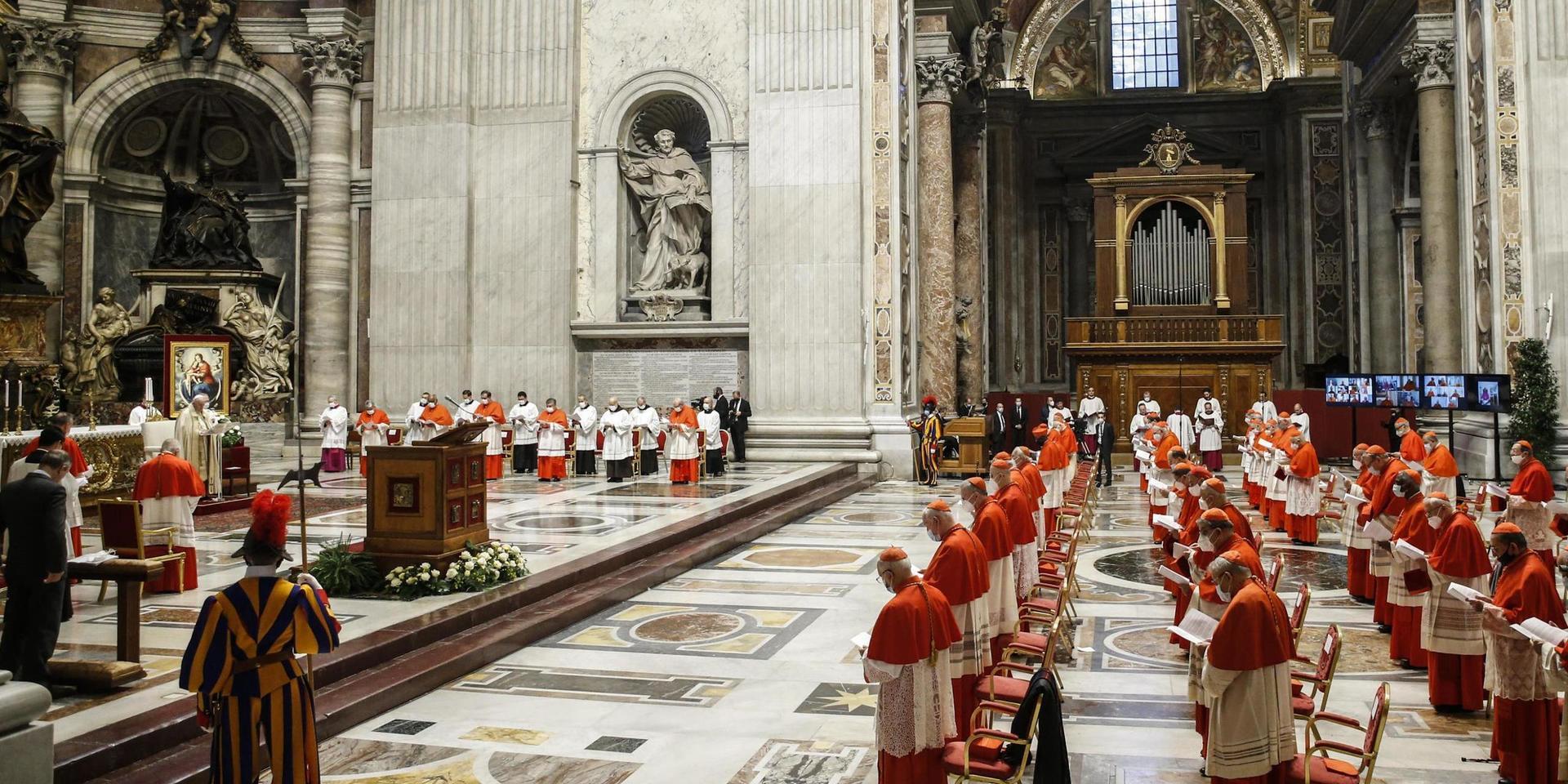 13 nya kardinaler svors in vid ett så kallat konsistorium i Peterskyrkan.