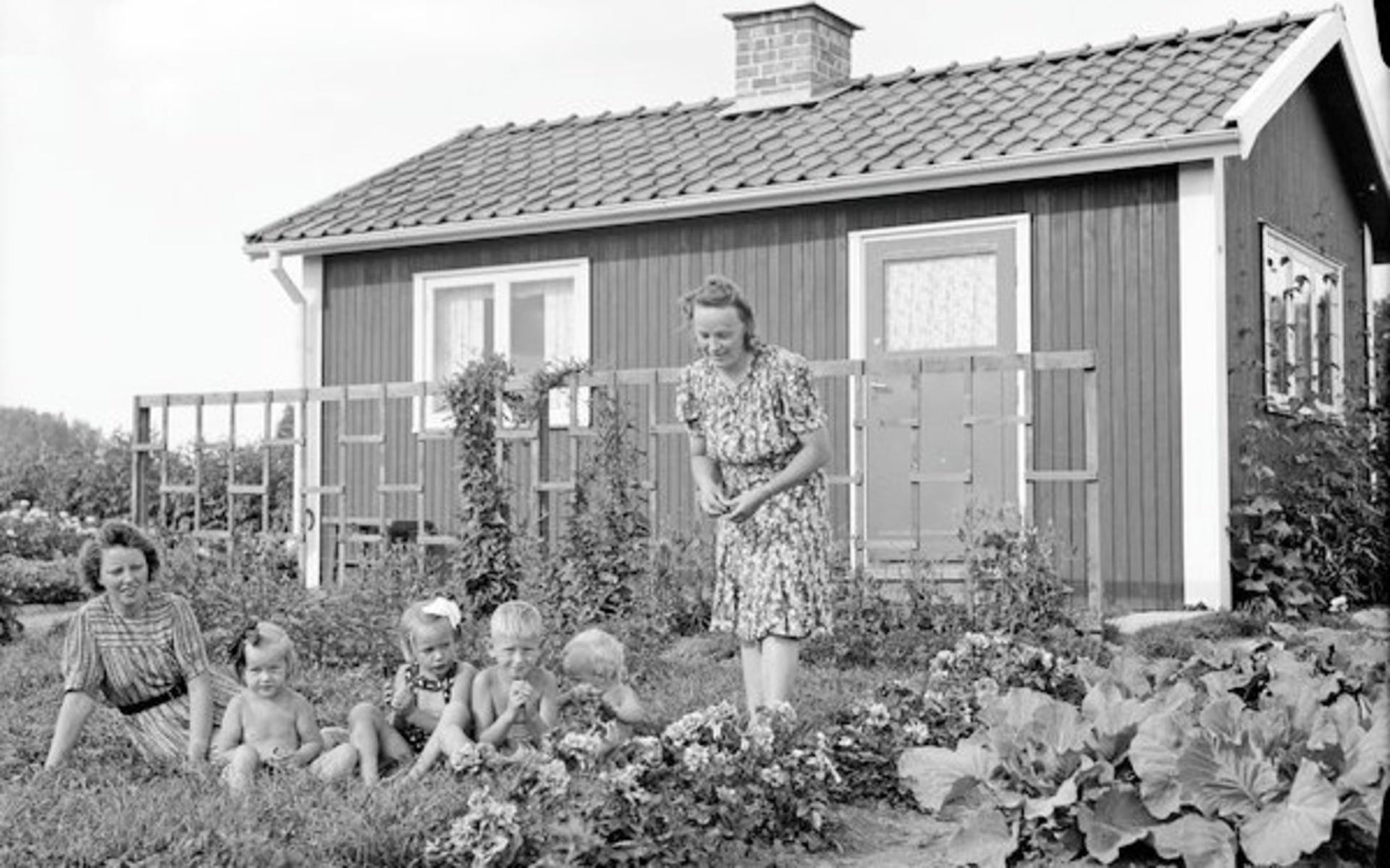 1940-tal. Kolonistuga vid Tunaberg, Uppsala. Källa: Upplandsmuseets samlingar