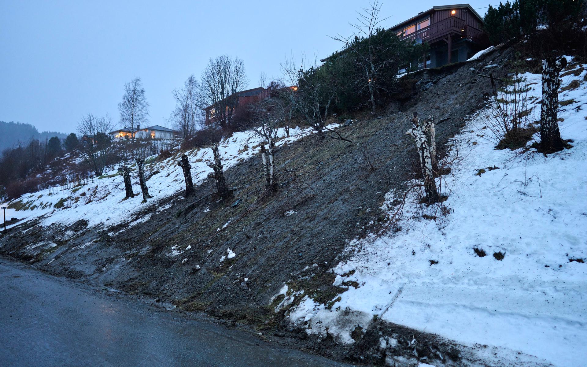  I Meldals kommun har flera mindre jordskred inträffat.