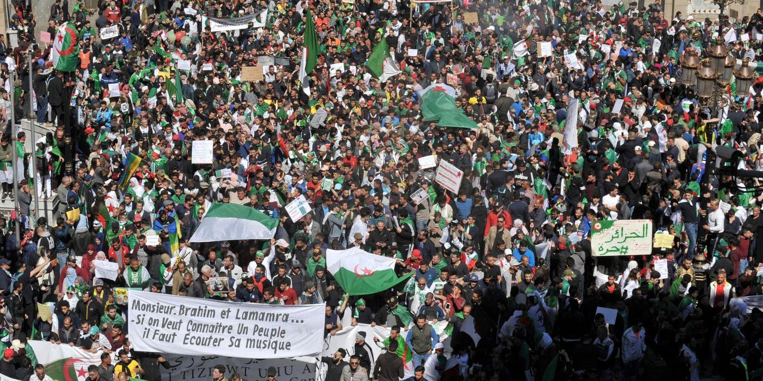 Militären ska hålla tassarna borta från den politiska processen, säger Algeriets nya oppositionskoalition Nationell samordning för förändring. Arkivbild.