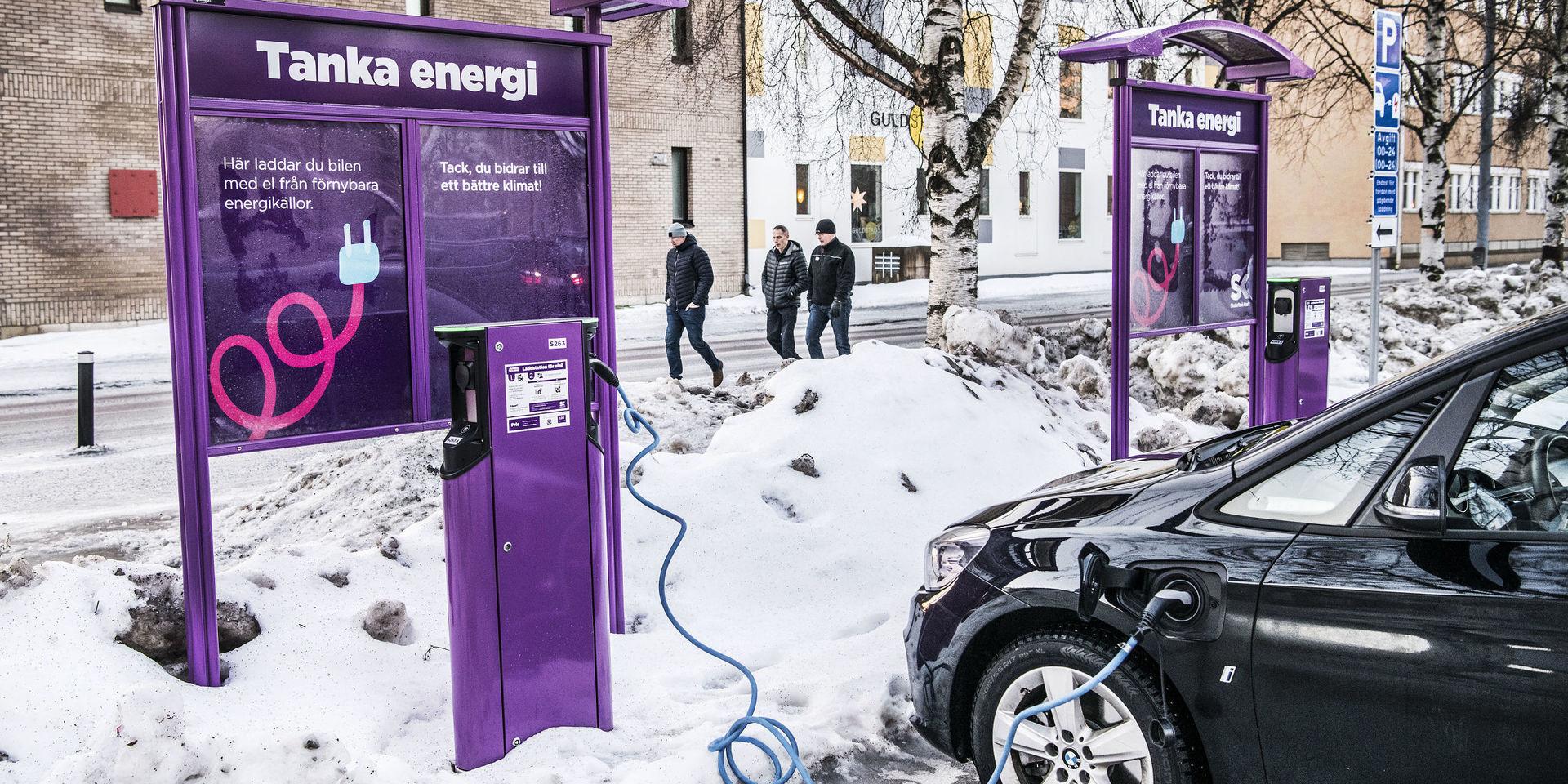 SNS Konjunkturrådet varnar för att en alltför snabb omställning till elbilar i Sverige leder till minskade möjligheter att exportera fossilfri el till Tyskland och Polen, vilket i sin tur kan öka användningen av kolkraft.