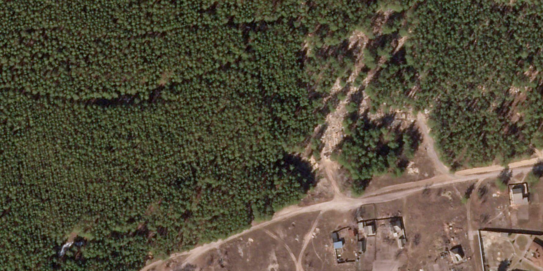Satellitfoto från Planet Labs PBC från slutet av mars, i det område där gravar nu hittats.