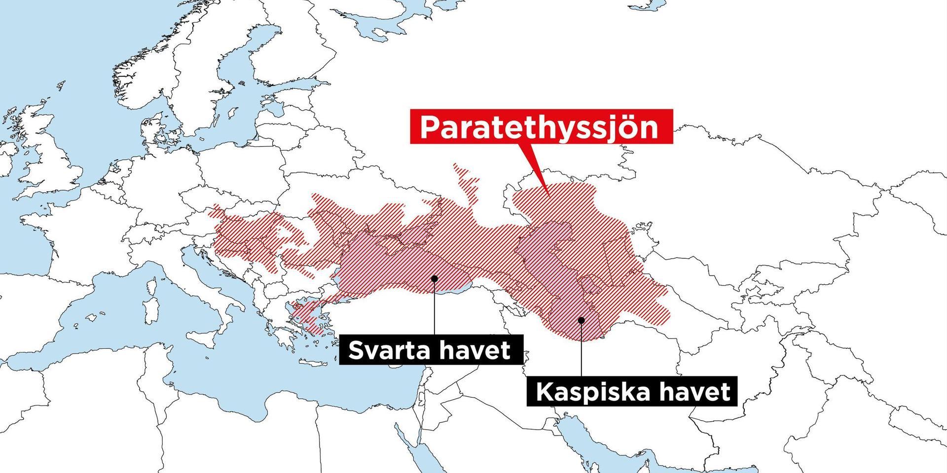 Paratethyssjön sträckte sig från Alperna bort mot Kazakstan. Vattnet var bräckt, ungefär som i Östersjön. När sjön krympte ökade salthalten. De enda större vattenmassor av sjön som fortfarande finns kvar är Svarta havet och Kaspiska havet.