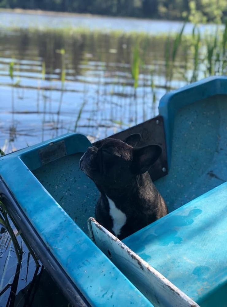 ”Turbo sju år älskar att åka båt”, skriver Jessica Hjert Flood.