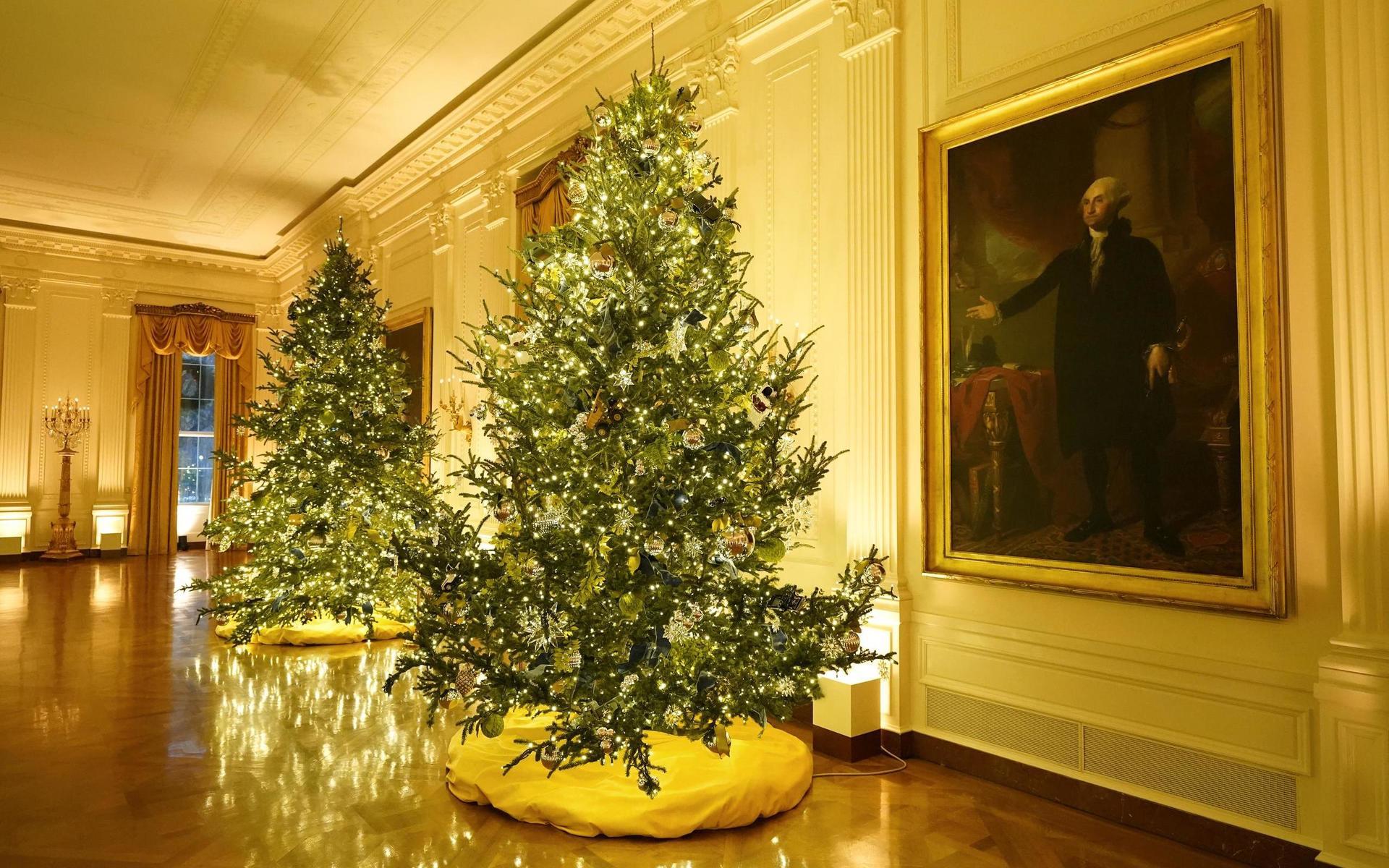 Östra rummet med två julgranar. George Washington på väggen ser ut att välkomna dekorationerna.