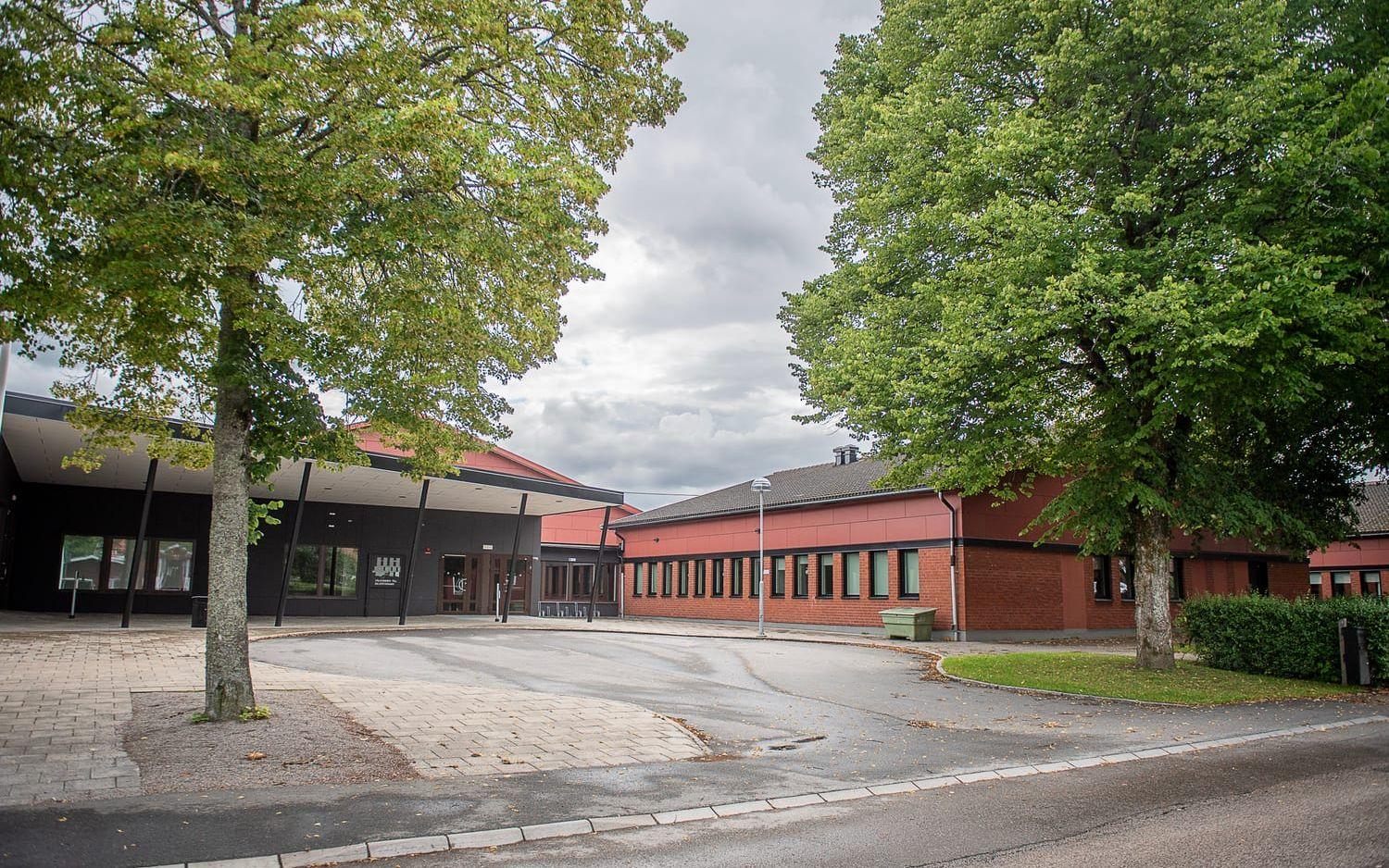 Silvertärnan exteriör