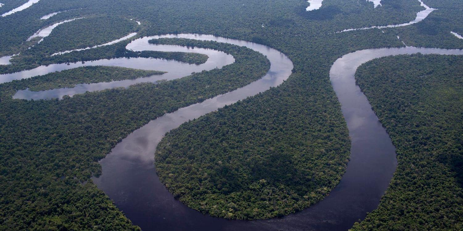 Drygt en tredjedel av världens floder, cirka 37 procent, strömmar fritt. Arkivbild.