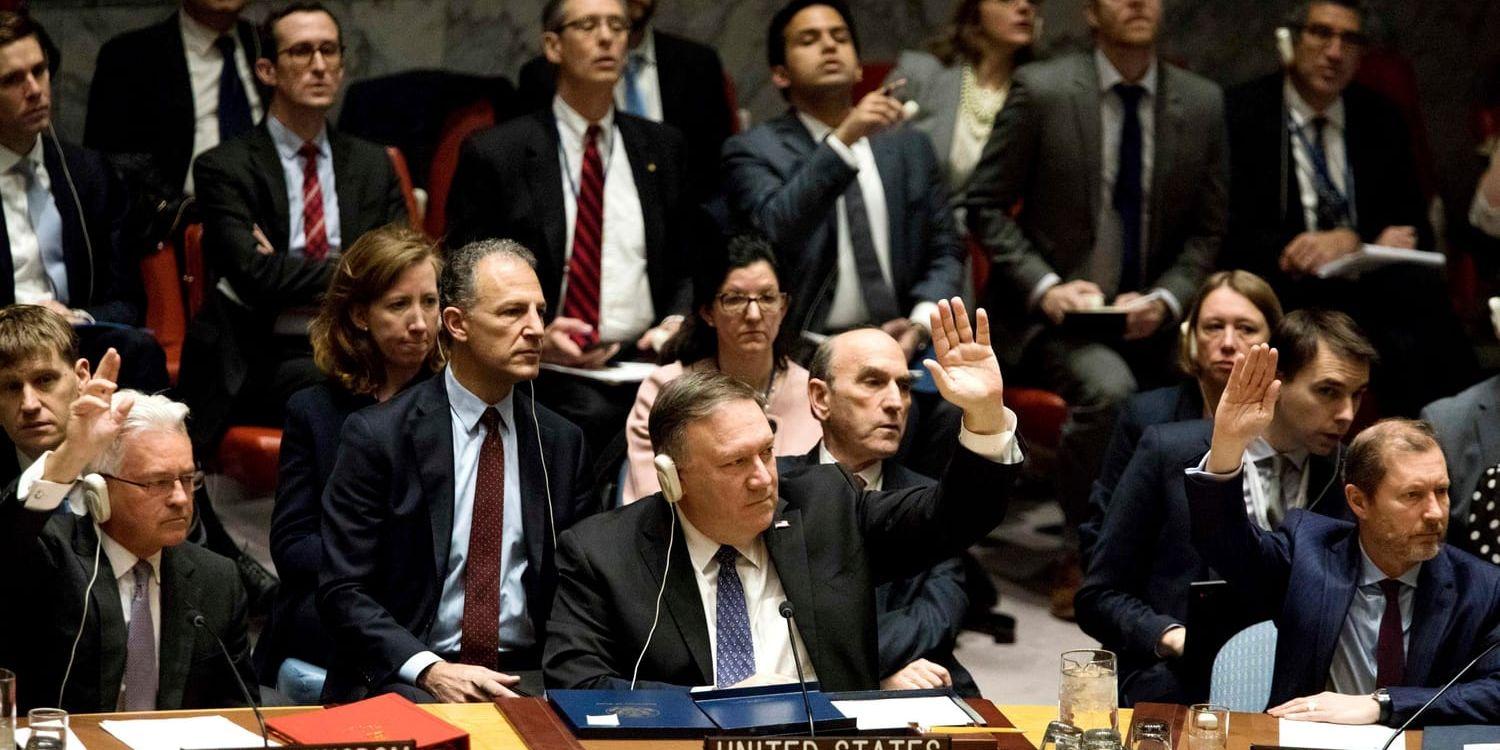 USA:s utrikesminister Mike Pompeo (mitten) fick inte säkerhetsrådet att gå på deras linje för Venezuela.