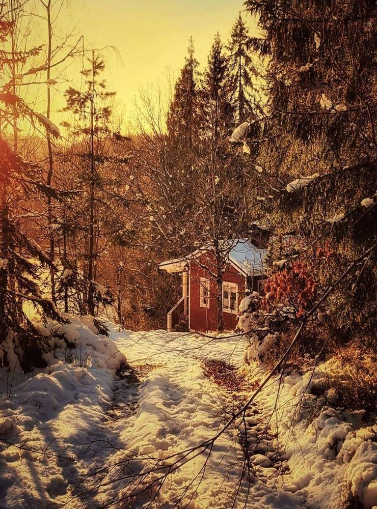 Sist men absolut inte minst – fredagens #ttelaläsarbild som bjuder in oss till den här vintriga skogen. Visst ser det härligt ut? Bakom kameran står Marita Johansson @marita.i.johansson.