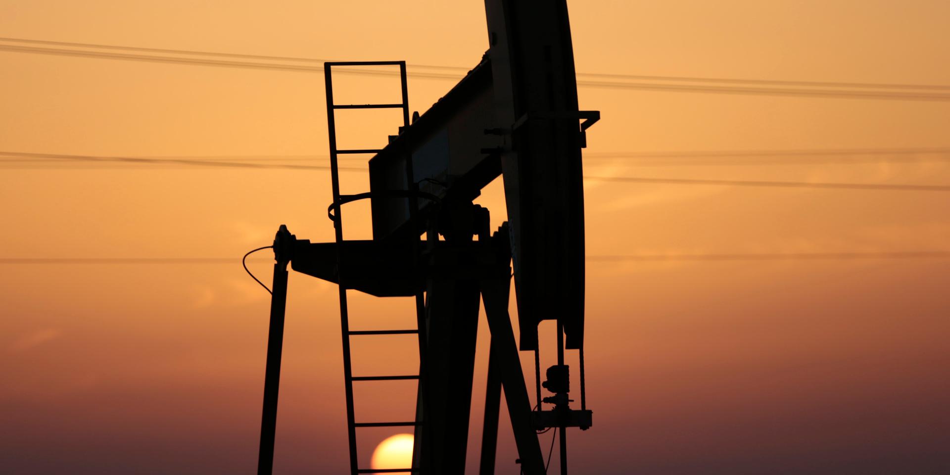 Exporten av petroleum genererar runt 80 procent av statens intäkter. På bilden syns en oljepump på oljefältet i Sakhir i Bahrain.