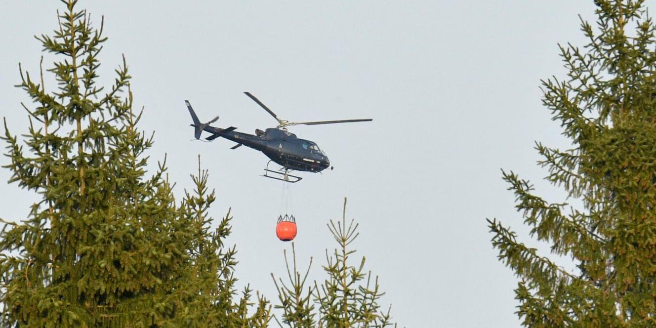En helikopter vattenbombar en skogsbrand i skånska Hästveda.