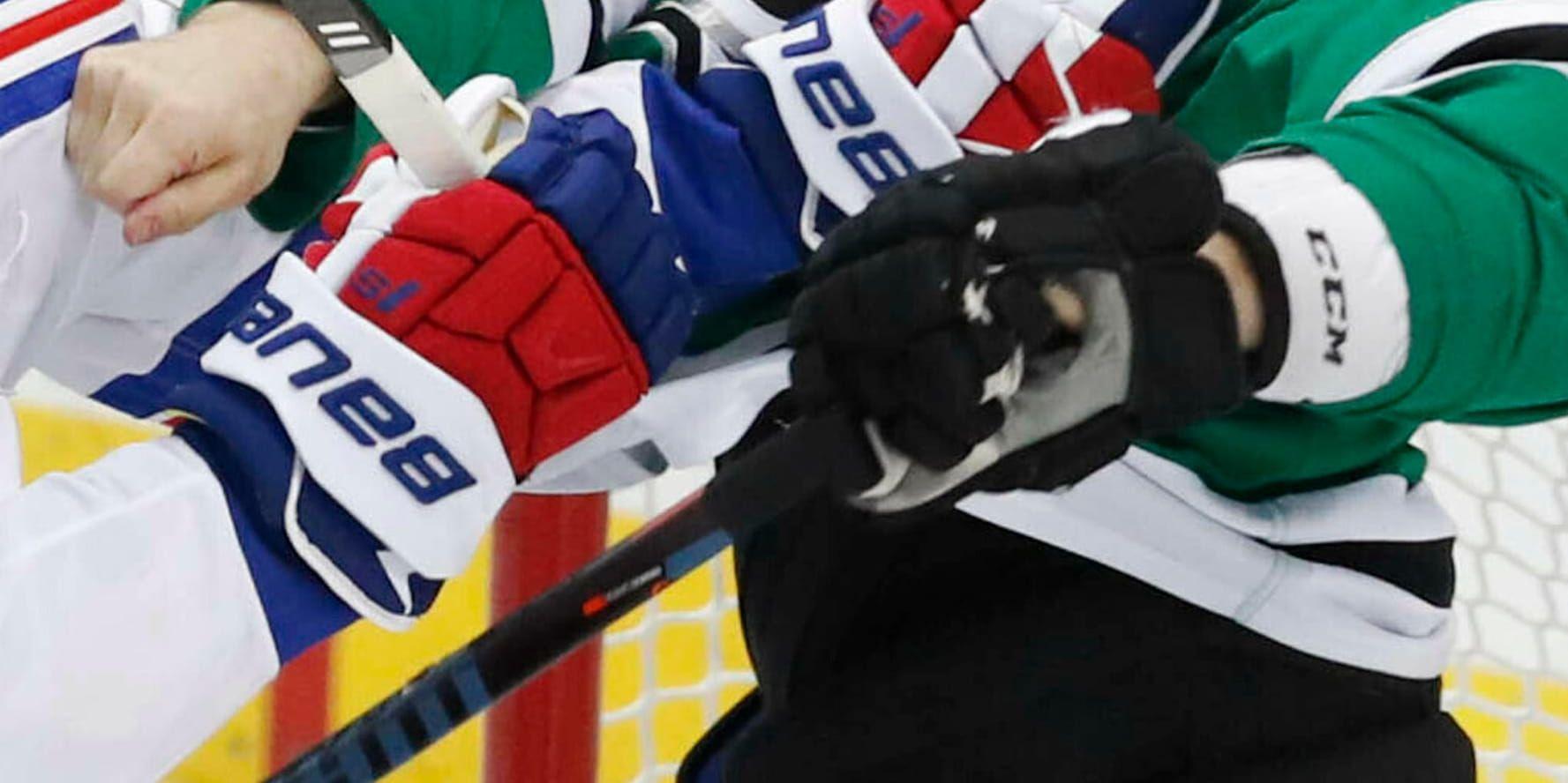 En ishockeyspelare har fällts för misshandel efter ett slagsmål på isen. Arkivbild.