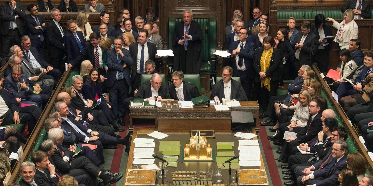 Brittiska underhuset röstade för att premiärminister Theresa May åter ska be EU om mer tid.