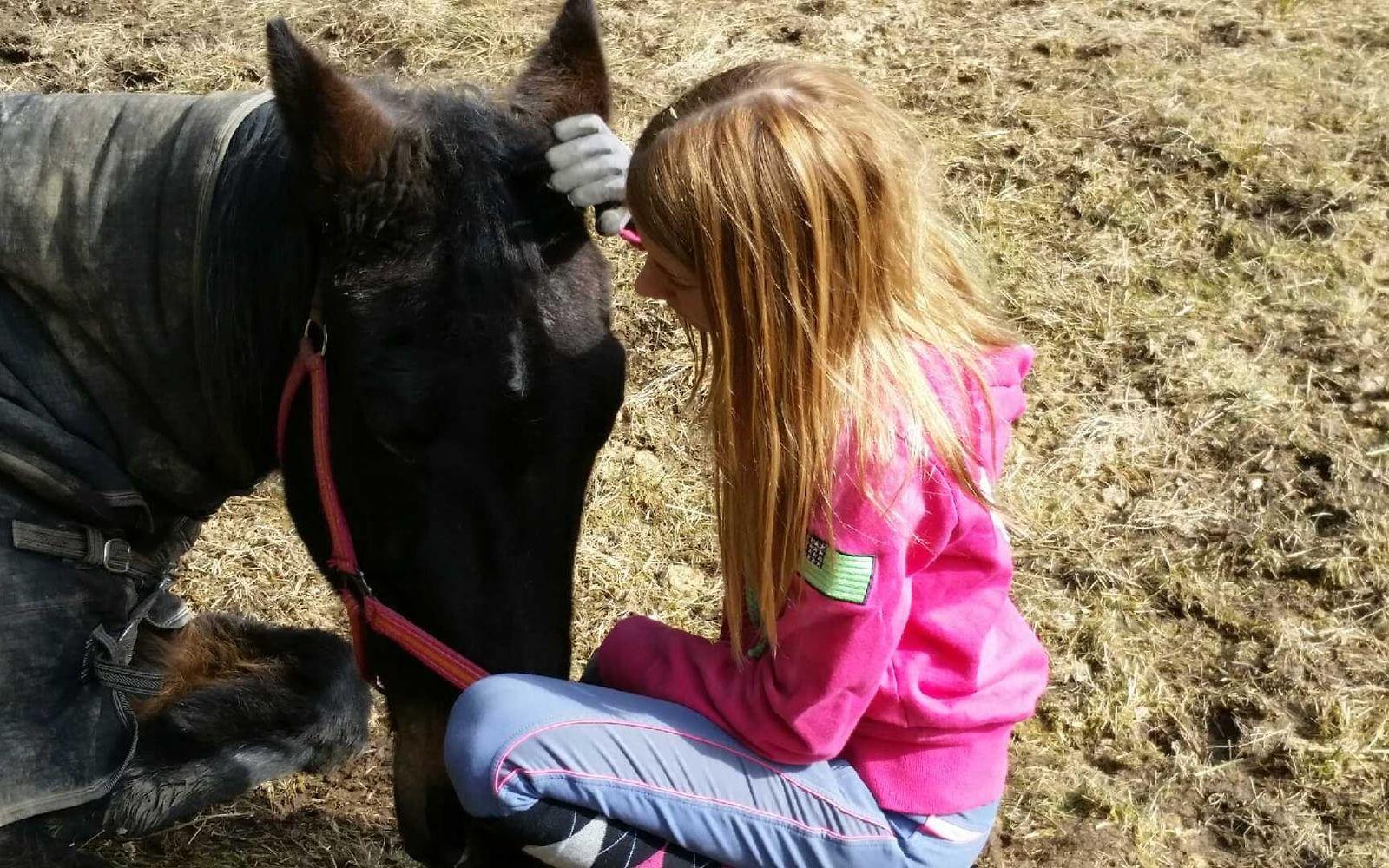 När vårsolen börjar värma, lägger sig hästarna ner i hagen och njuter och våra jackor åker av Här sitter min dotter Haylie med en av våra hästar Chica, och myser tillsammans. Bilden är inskickad av Linda Gravander.